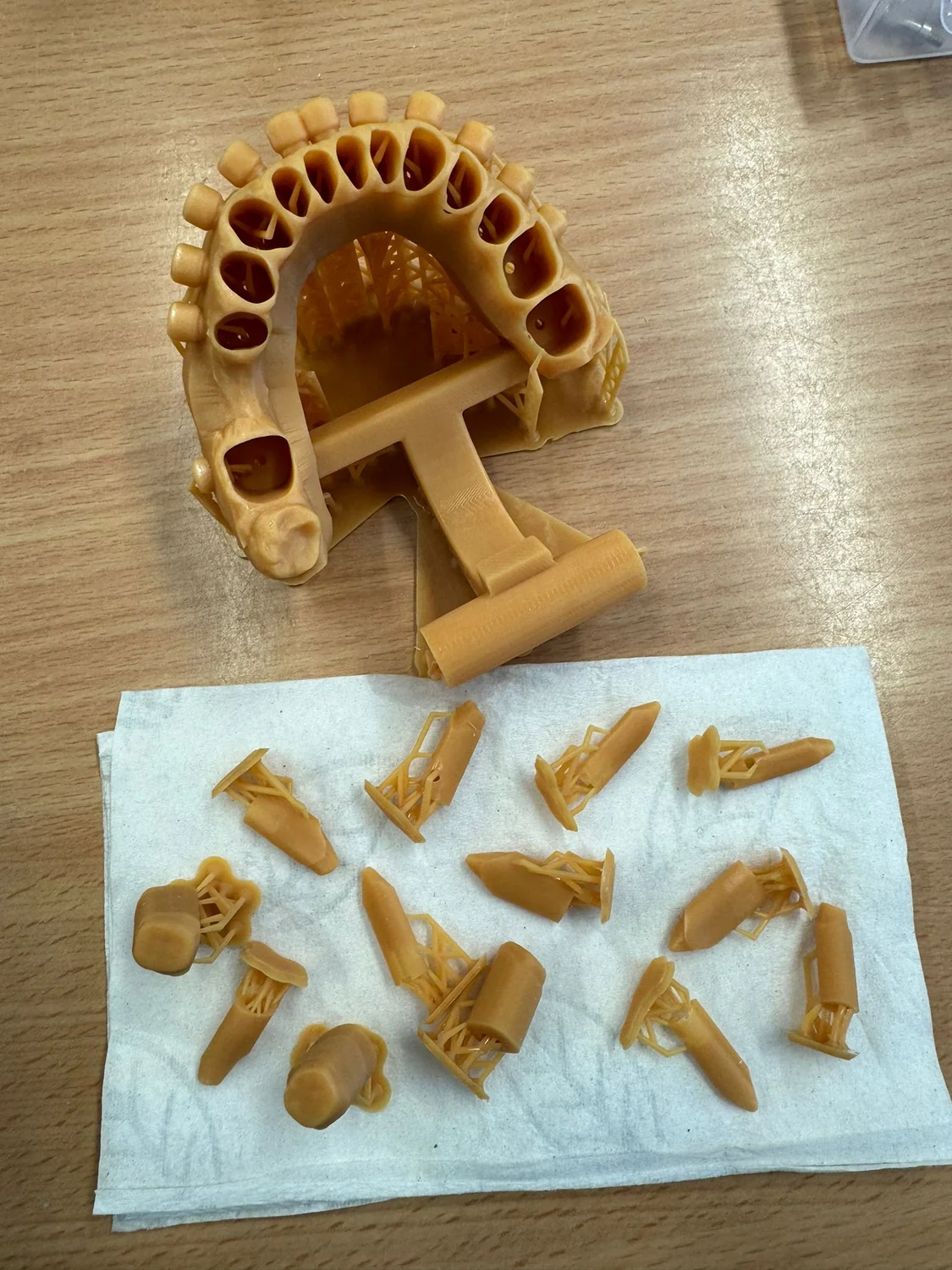Vytištěný dentální model a sada vyjímatelných pahýlů Stump Die 3D